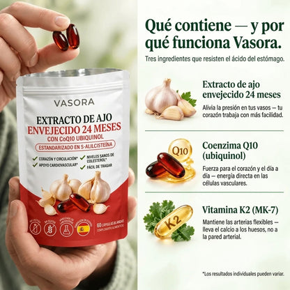 Vasora – Extracto de ajo envejecido 24 meses con CoQ10 y vitamina K2