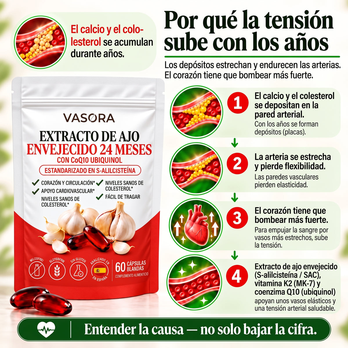 Vasora – Extracto de ajo envejecido 24 meses con CoQ10 y vitamina K2