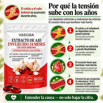 Vasora – Extracto de ajo envejecido 24 meses con CoQ10 y vitamina K2