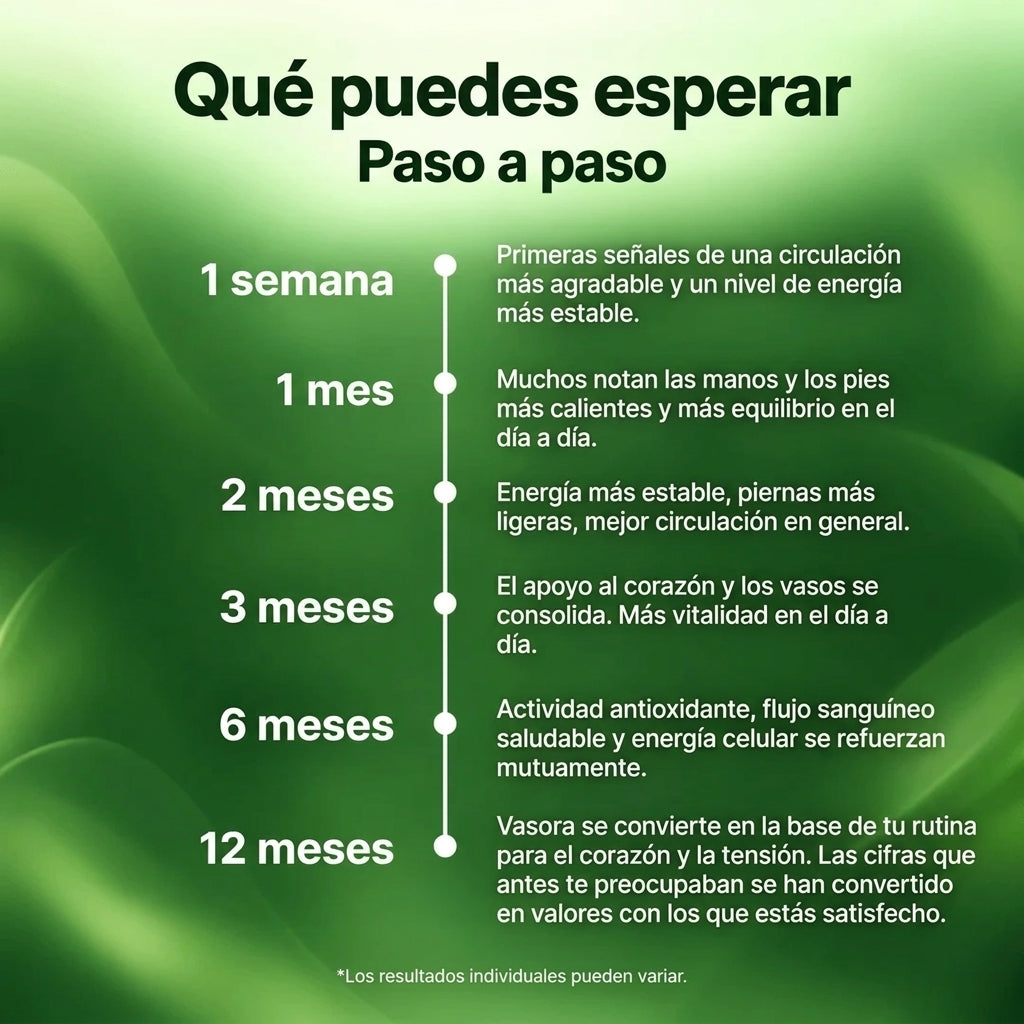 Vasora – Extracto de ajo envejecido 24 meses con CoQ10 y vitamina K2